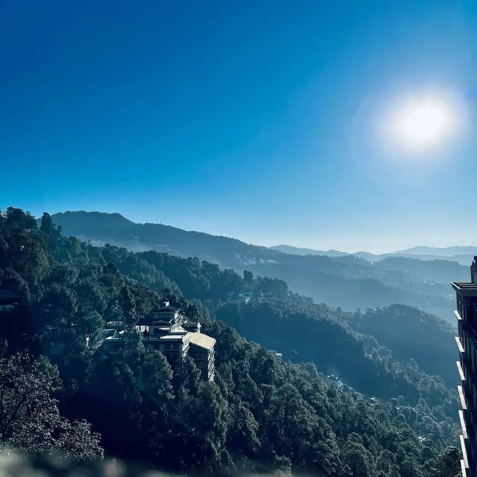 Forested hillside and a mountain viewpoint